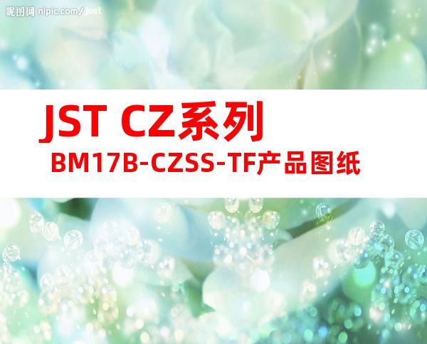 JST CZ系列 BM17B-CZSS-TF产品图纸